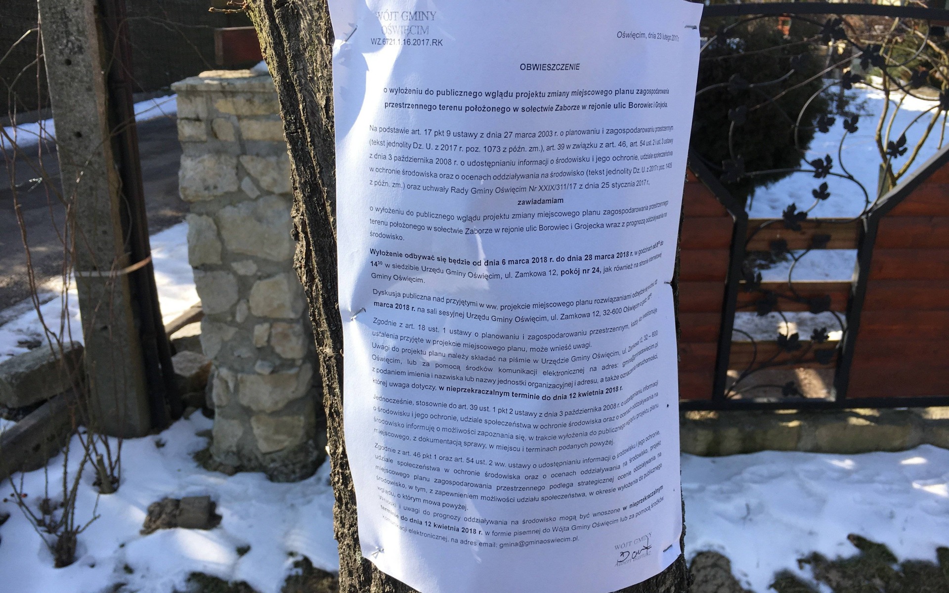 ZABORZE. Urzędnicy traktują drzewa jak tablice informacyjne...