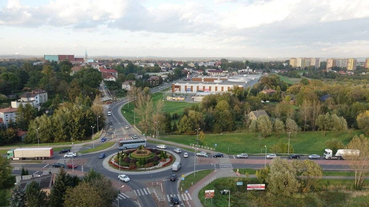 OŚWIĘCIM. Czy rozwój miasta musi iść w parze z wycinką drzew?