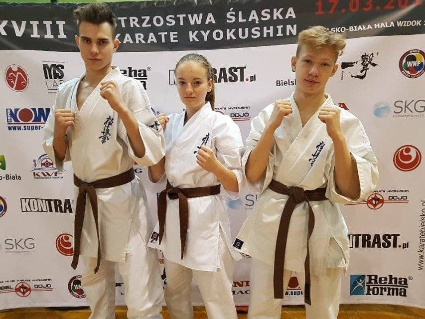 KARATE. Oświęcimianie startowali w Bielsku-Białej
