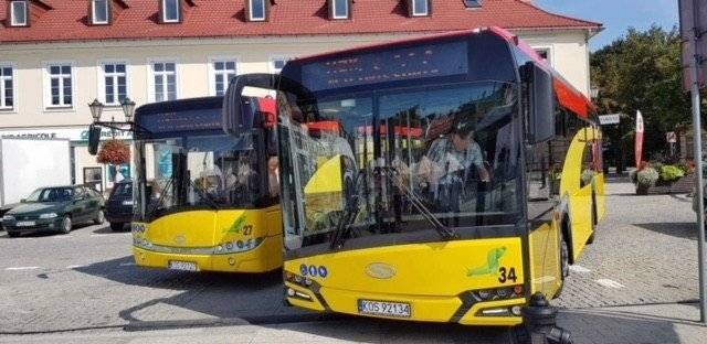OŚWIĘCIM. Radny PiS zaniepokojony sytuacją w MZK. Wiemy już, czemu przewoźnik wybrał solarisy, a nie autosany