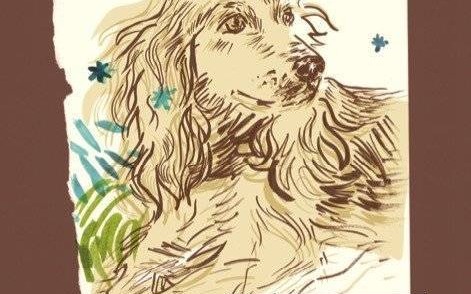 MUZEUM AUSCHWITZ. Nowe wydanie książki „Czika, piesek w getcie”. Okupacja oczami dziecka