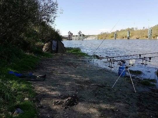 PODOLSZE. Śmierć wędkarza i jego czworonożnego przyjaciela. Prawdopodobnie zatruli się gazem