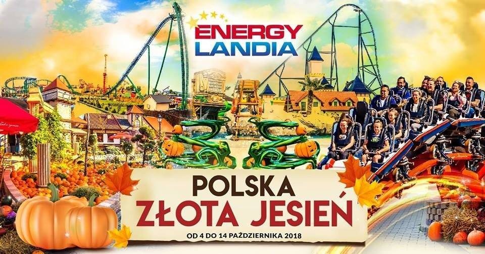 ZATOR. Tysiące dyń i kwiatów. Energylandia w jesiennej odsłonie.