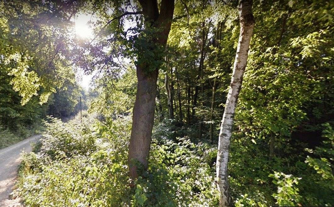 WITKOWICE. Odnaleźli poszukiwaną od tygodni 60-latkę