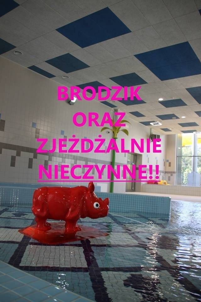 OŚWIĘCIM. Zanieczyszczenie na basenie. Nieczynny brodzik i zjeżdżalnie
