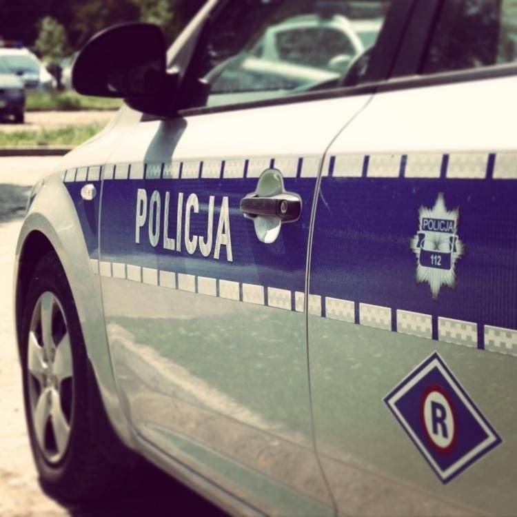 GŁĘBOWICE. Sarna na drodze, kierowca w rowie