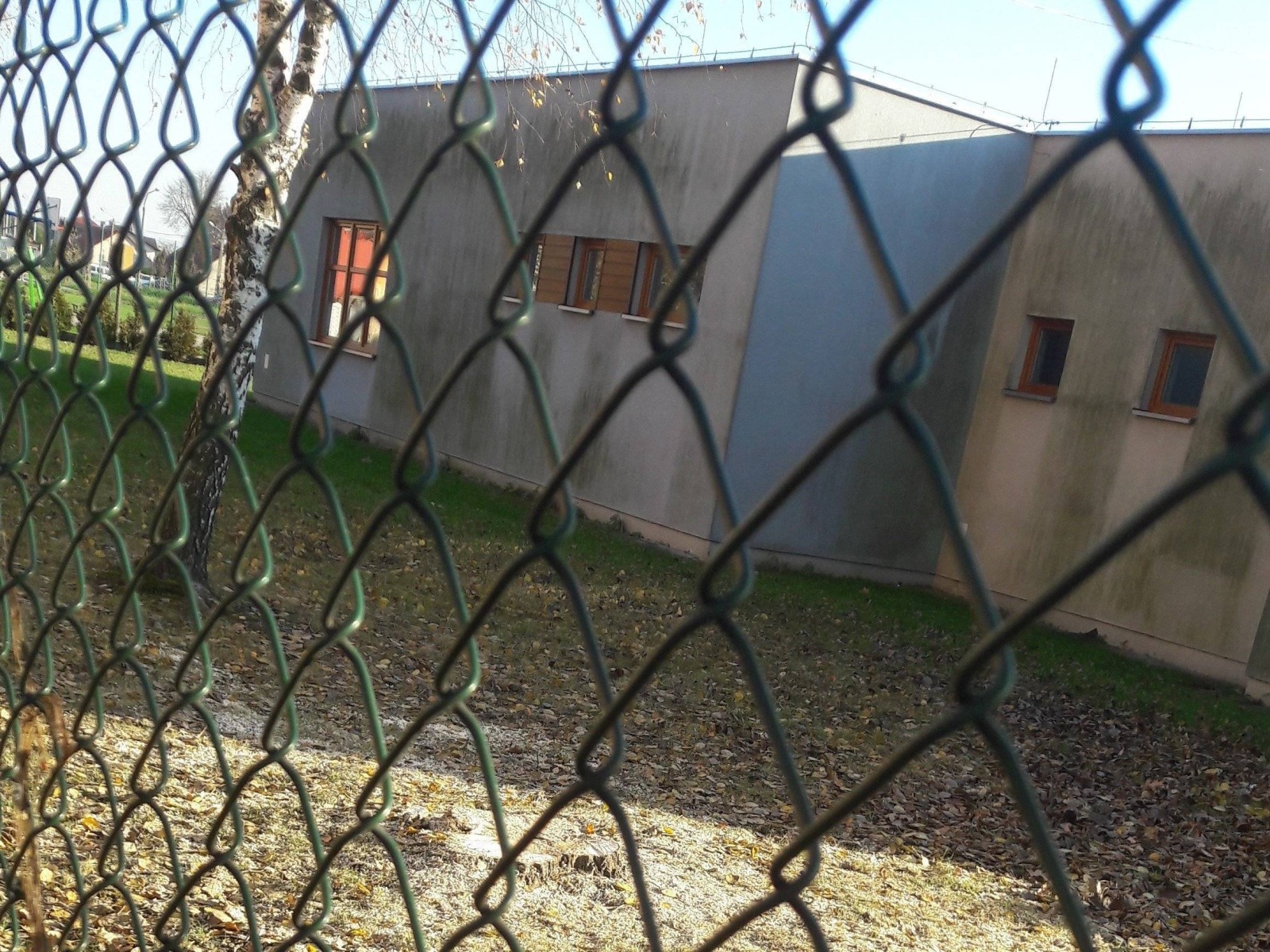 OŚWIĘCIM. Topola przy świetlicy ścięta. Spadające konary zagrażały mieszkańcom