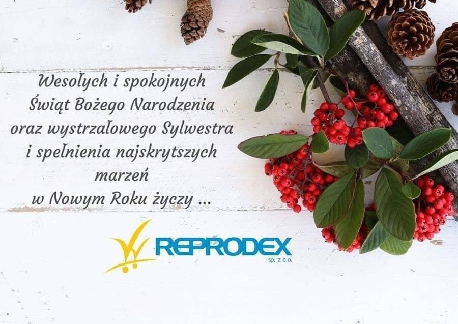 ŚWIĘTA. Życzenia świąteczno-noworoczne od Firmy Reprodex Sp. z o. o.