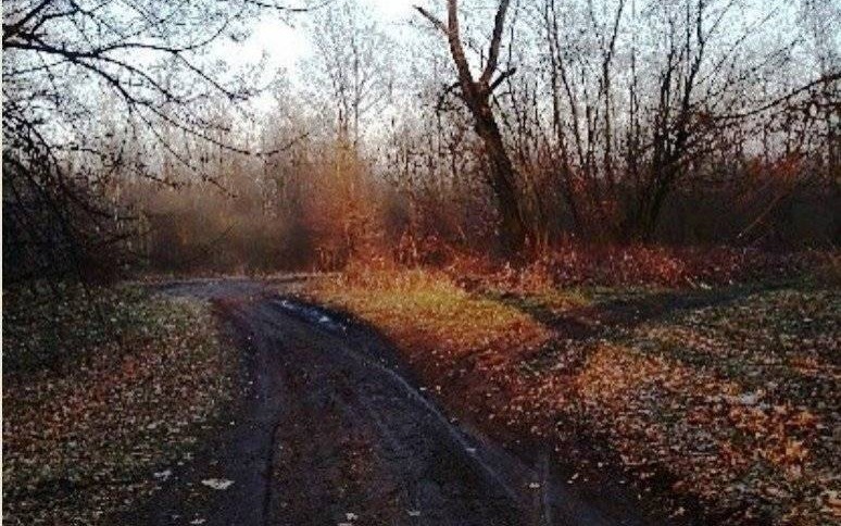 SKIDZIŃ. Policjanci uratowali 35-latkę, która groziła samobójstwem