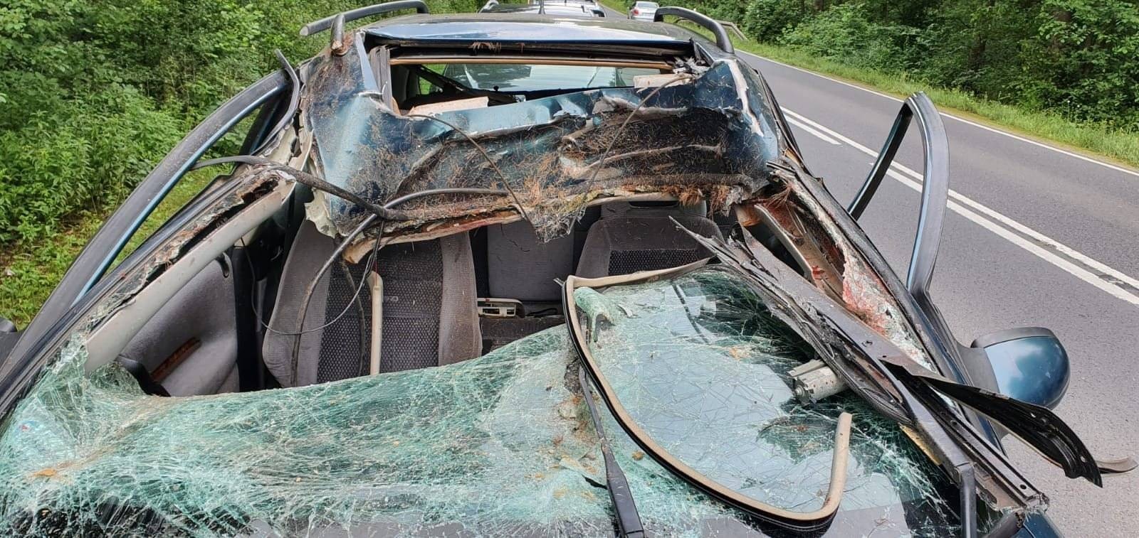 BOBREK. Jeleń nie przeżył zderzenia z oplem. Kierowca z urazem głowy