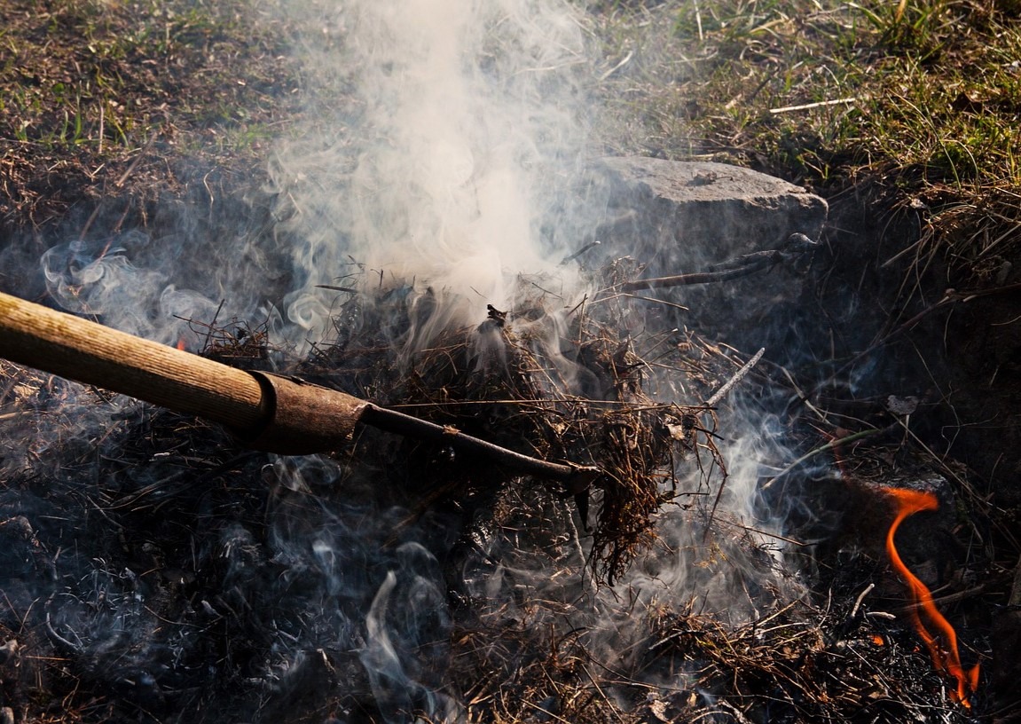 Wyższe kary za spalanie gałęzi, liści i traw