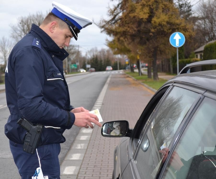Policja. Co trzeci kierowca nie zapiął pasów - InfoBrzeszcze.pl