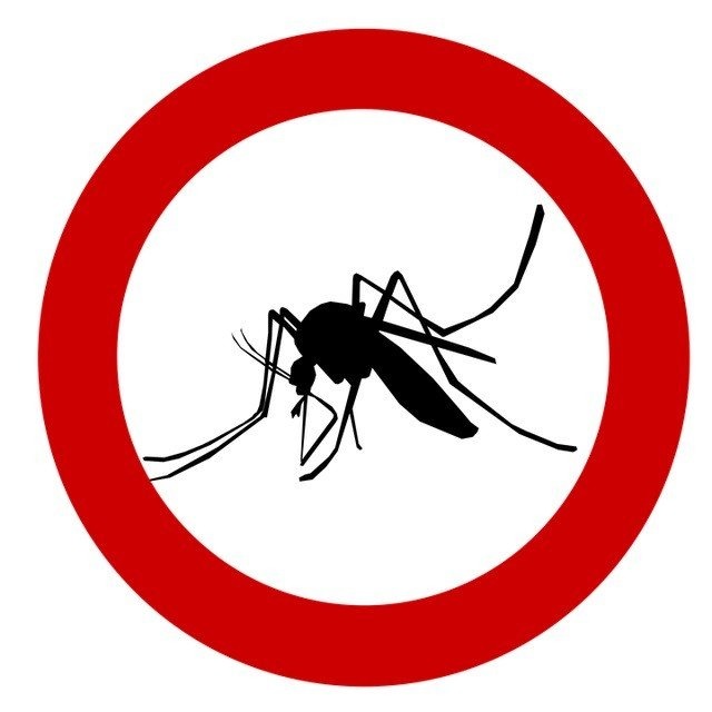 Trwa odkomarzanie gminy - InfoBrzeszcze.pl