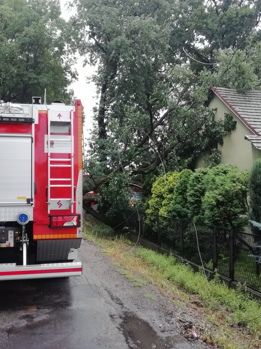 Drzewo runęło na budynek - FOTO - InfoBrzeszcze.pl