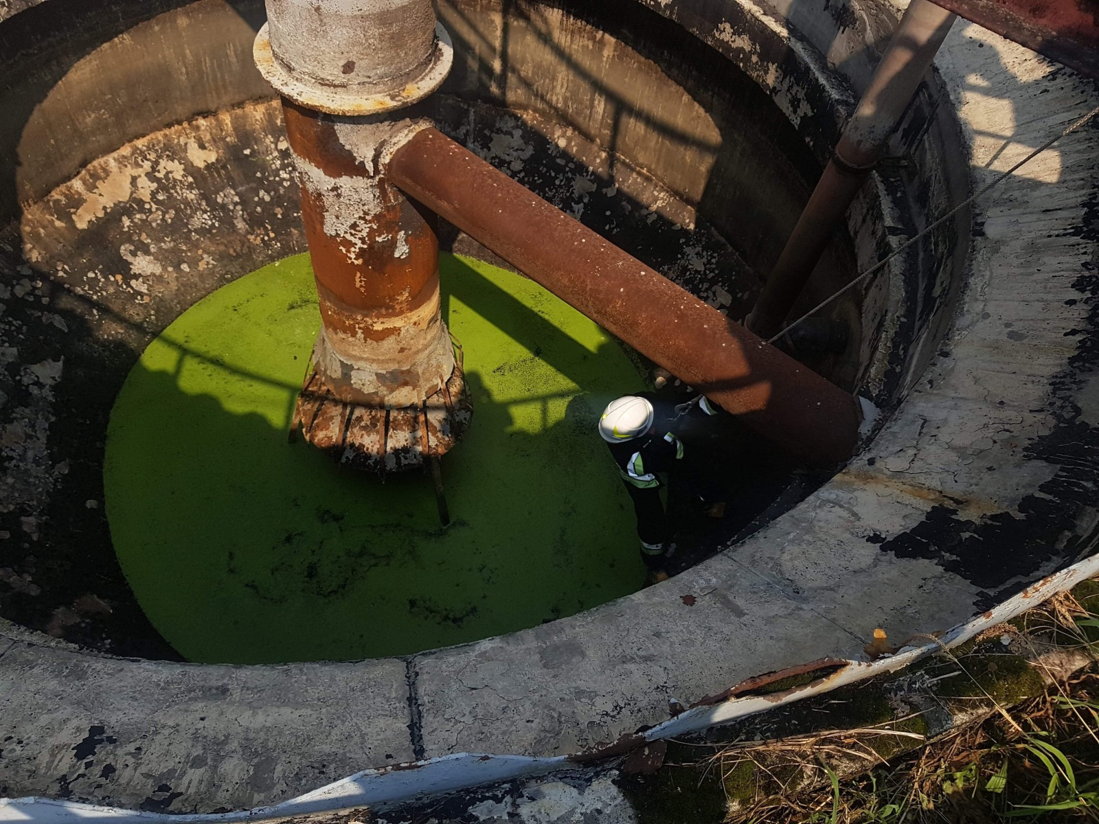 Strażacy uratowali małego kotka - FOTO - InfoBrzeszcze.pl