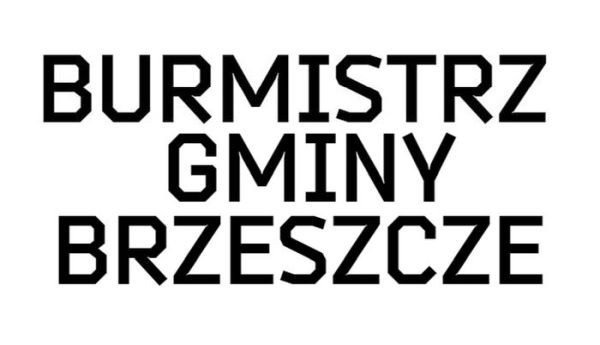 Trzech kandydatów do fotelu Burmistrza? - InfoBrzeszcze.pl