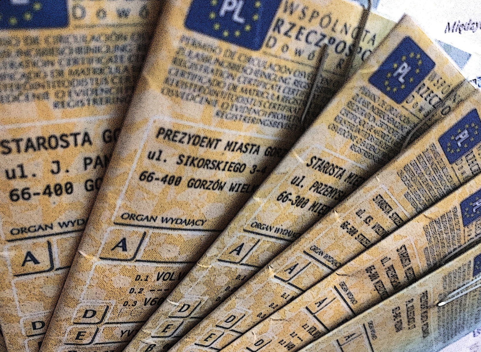 Od października polisę i dowód rejestracyjny możemy zostawić w domu - InfoBrzeszcze.pl