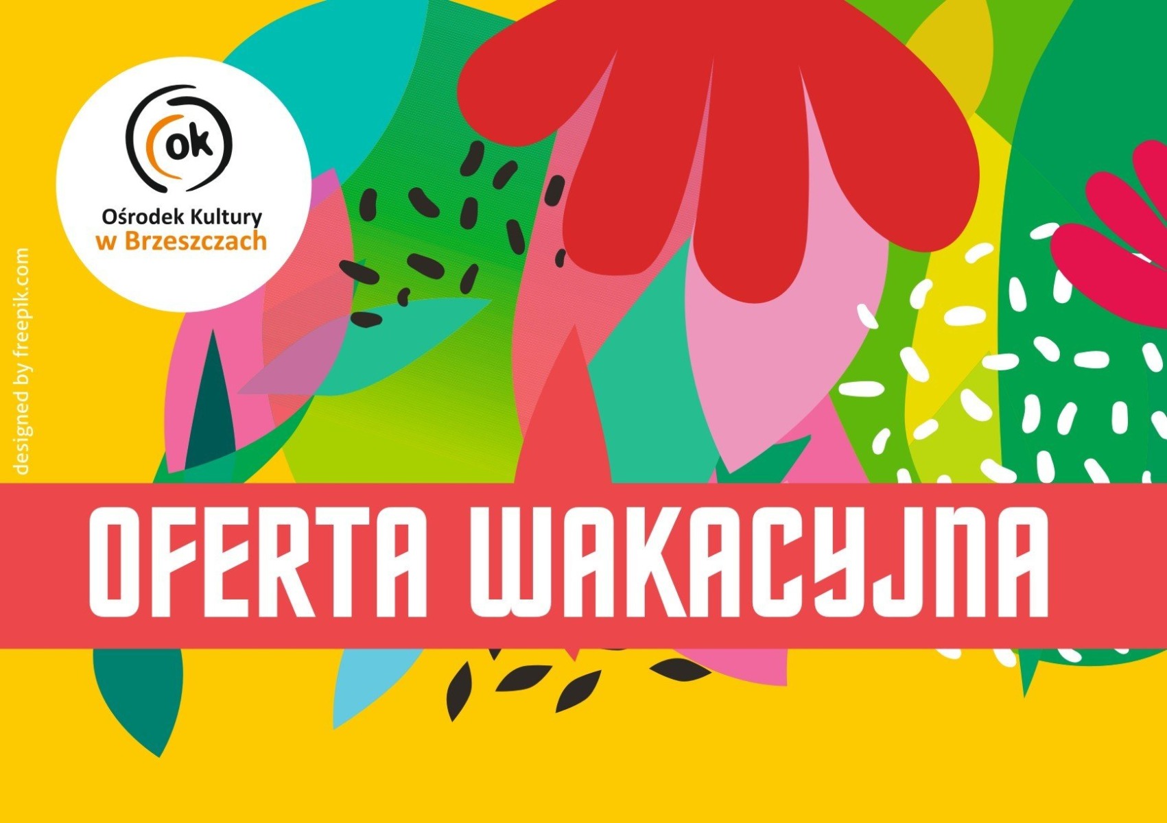 Wakacje 2019 z Ośrodkiem Kultury w Brzeszczach - InfoBrzeszcze.pl