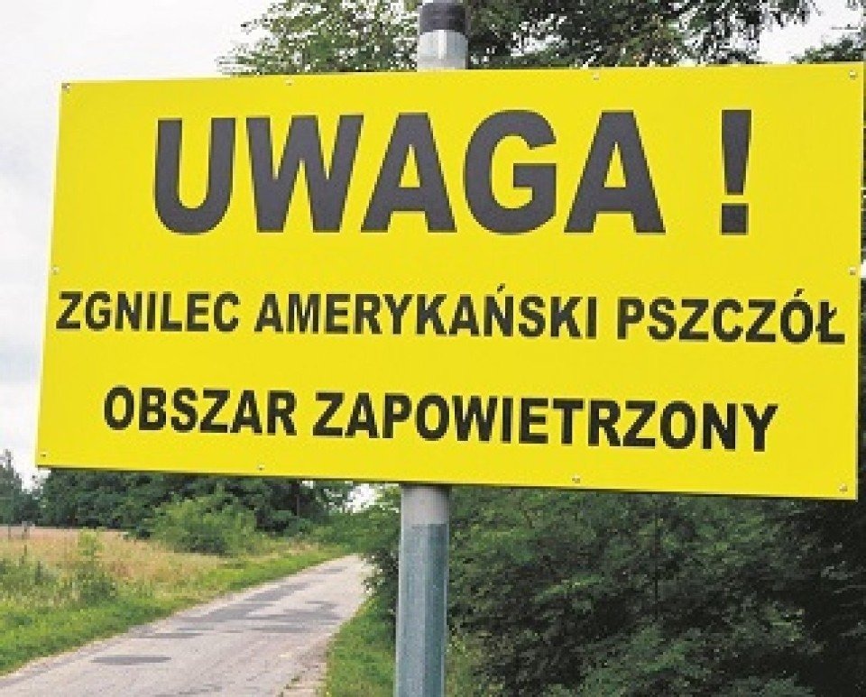 "Uwaga! Zgnilec amerykański pszczół – Obszar zapowietrzony" - InfoBrzeszcze.pl