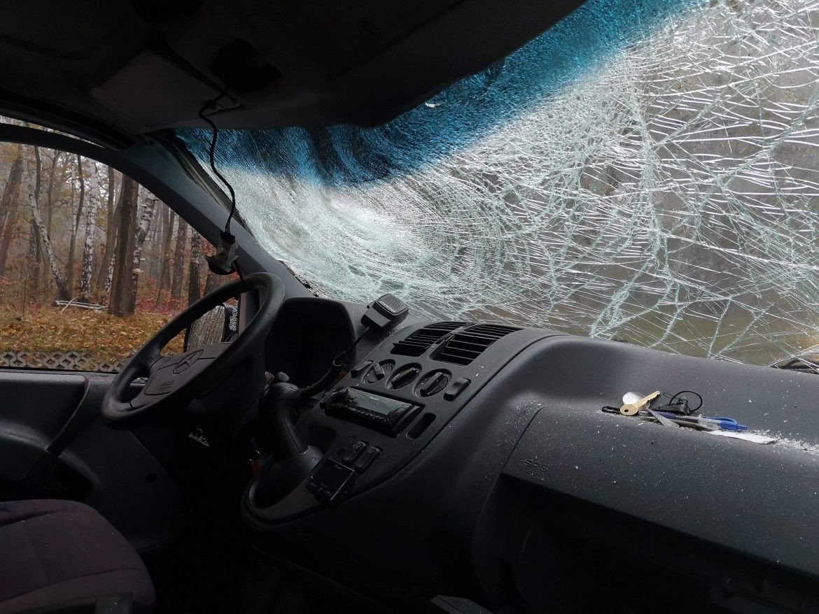 Drzewo przygniotło samochód - InfoBrzeszcze.pl