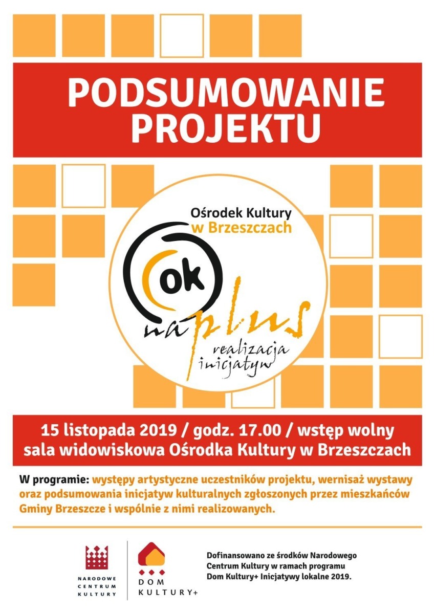 Podsumowanie projektu OK na Plus - realizacja inicjatyw - InfoBrzeszcze.pl
