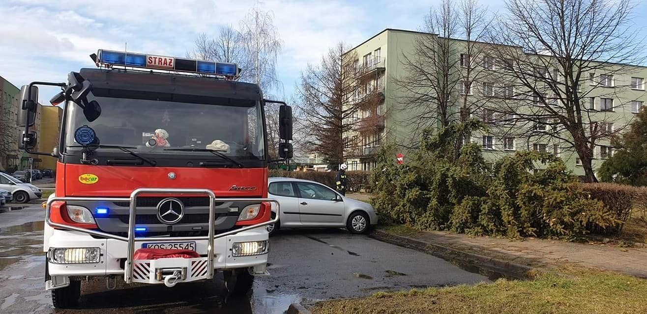 Strażacy OSP interweniowali w związku z usuwaniem skutków silnego wiatru - ZDJĘCIA! - InfoBrzeszcze.pl