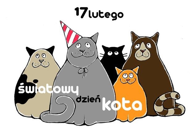 17 lutego - Światowy Dzień Kota - InfoBrzeszcze.pl