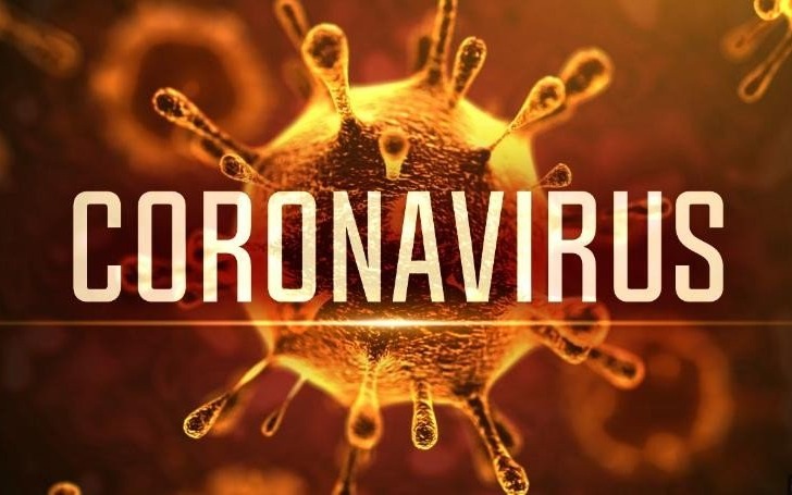 Koronawirus. Informacje i zalecenia - InfoBrzeszcze.pl