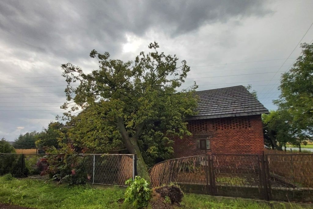 Strażacy usuwają skutki burzy, która przeszła przez gminę - InfoBrzeszcze.pl