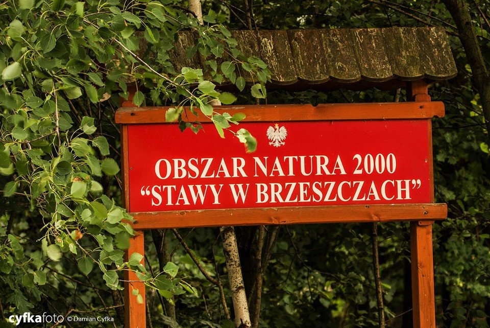 Dzikie wysypisko śmieci - InfoBrzeszcze.pl