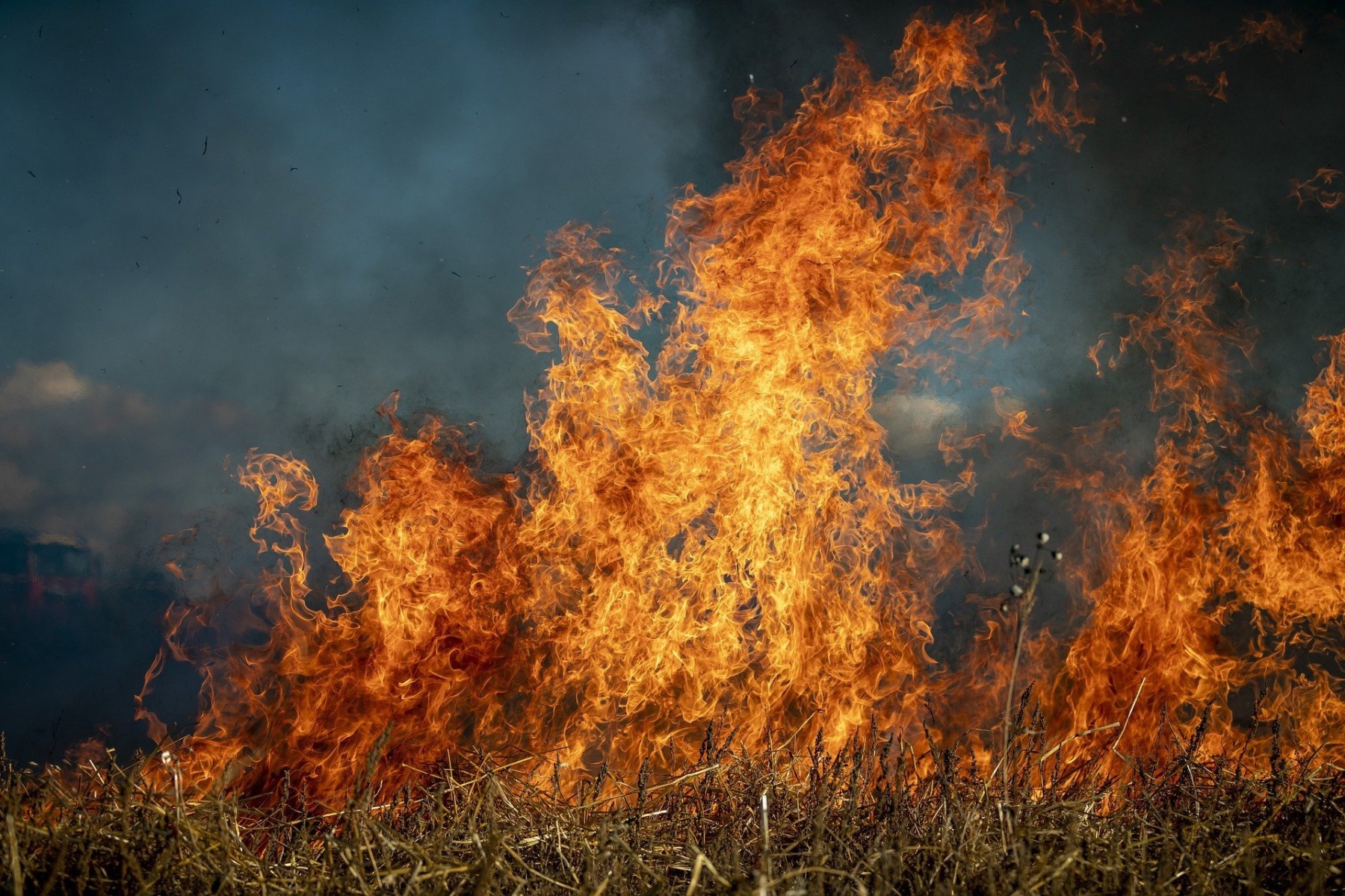 ARiMR przypomina: wypalanie traw jest karalne - InfoBrzeszcze.pl
