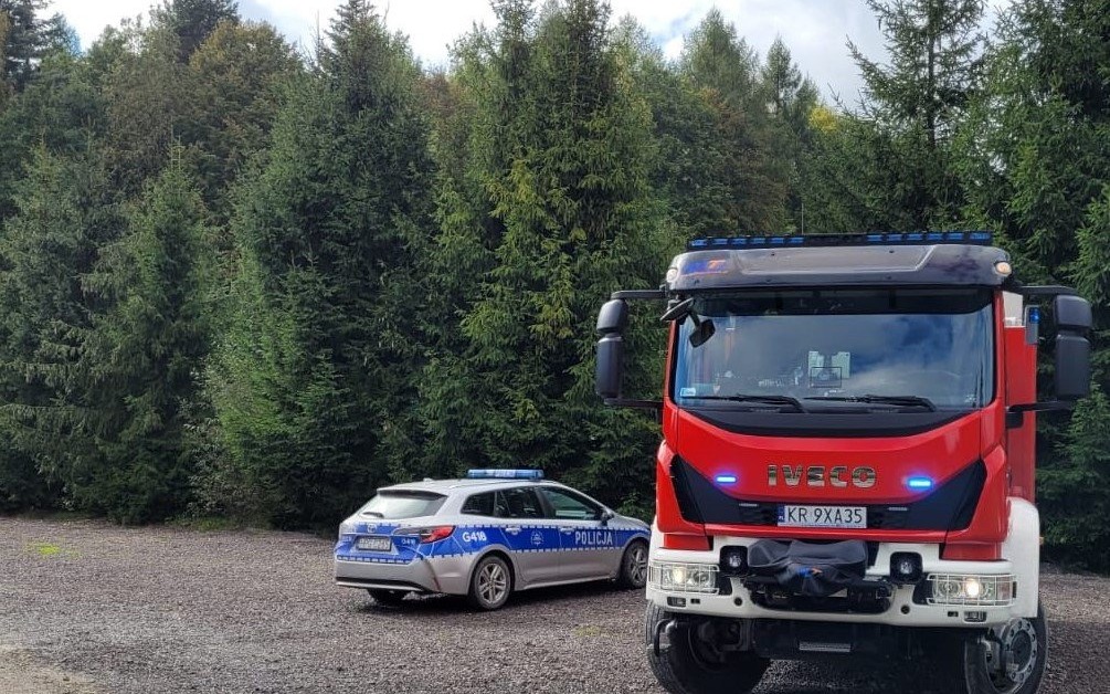 Nieszczęśliwy wypadek przy wycince drzew - InfoBrzeszcze.pl