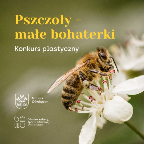 Konkurs Pszczoły - małe bohaterki