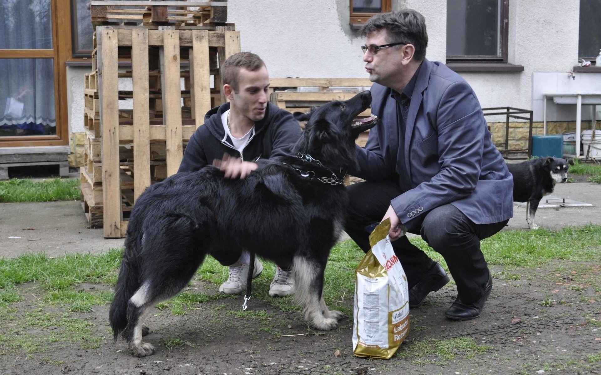 Podziękowania dla Lili i jej pana
