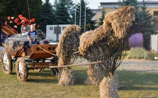 Święto Plonów okiem kamery