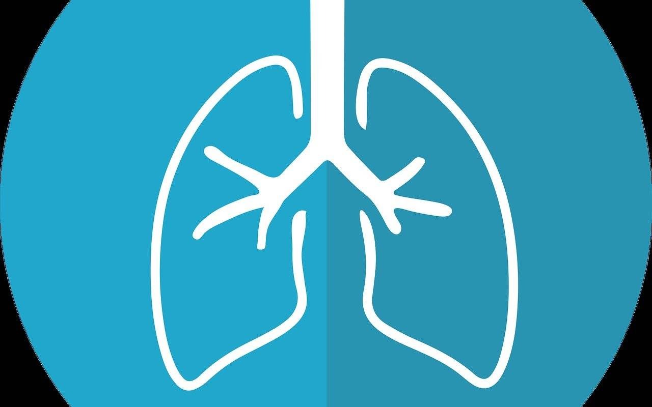Sprawdź, czy masz zdrowe płuca!