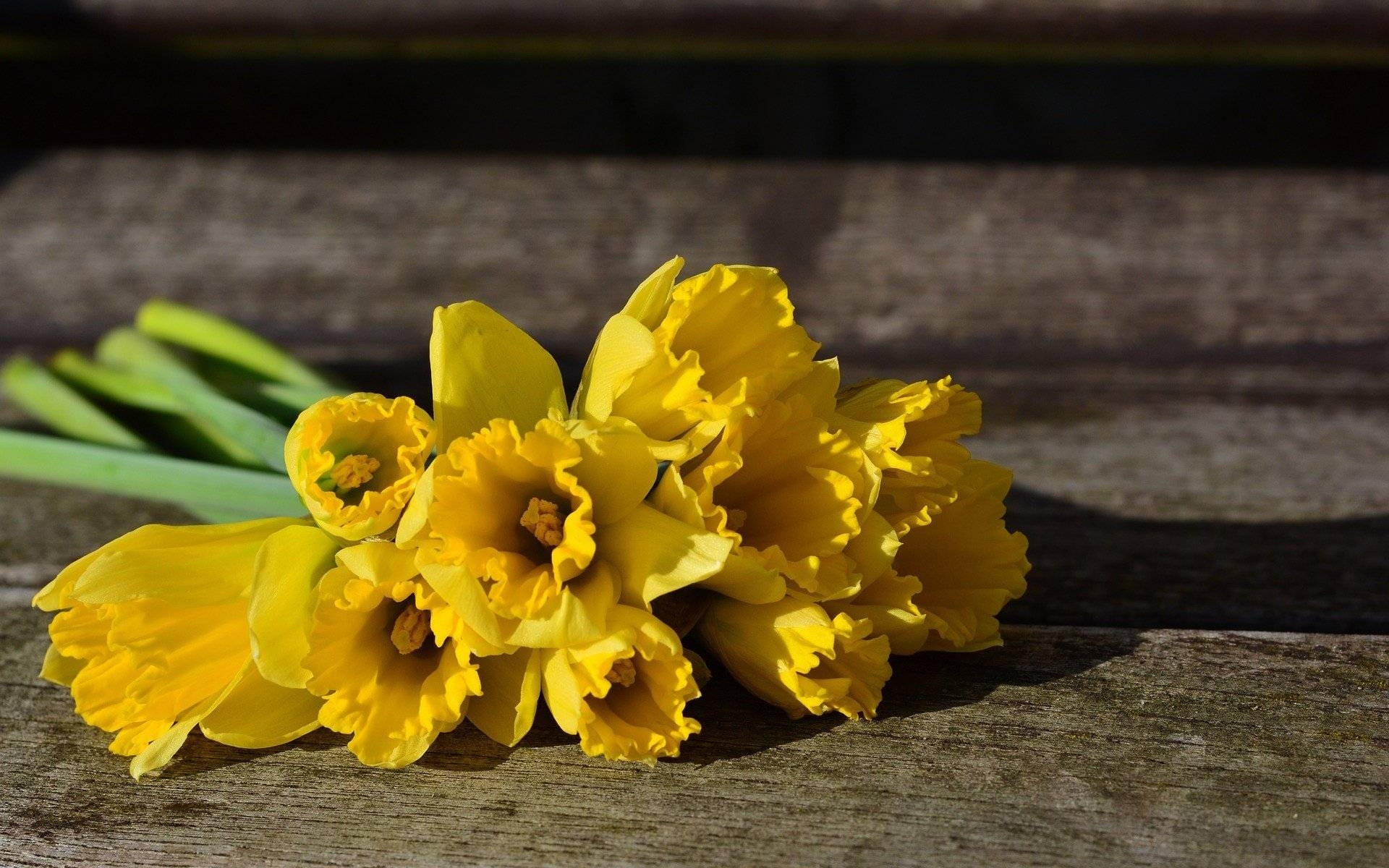 Życzenia z okazji Dnia Sołtysa