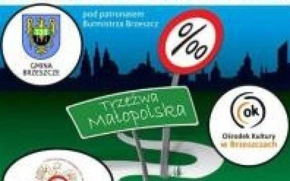 Brzeszcze. Kampania „No Promil - No Problem”. Uczniowie apelowali o trzeźwość za kierownicą.