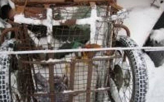 Oświęcim. Policjanci zatrzymali włamywacza i odzyskali skradzione mienie