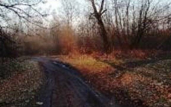 Brzeszcze. Dyżurny zlokalizował, policjanci odnaleźli kobietę będącą w depresji