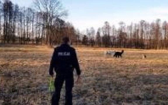 Gmina Oświęci. Egzotyczne uciekinierki