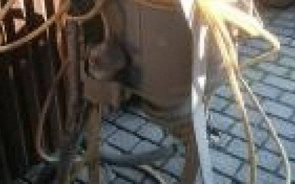 Kęty. Piaskarka ręczna czeka na właściciela w komisariacie