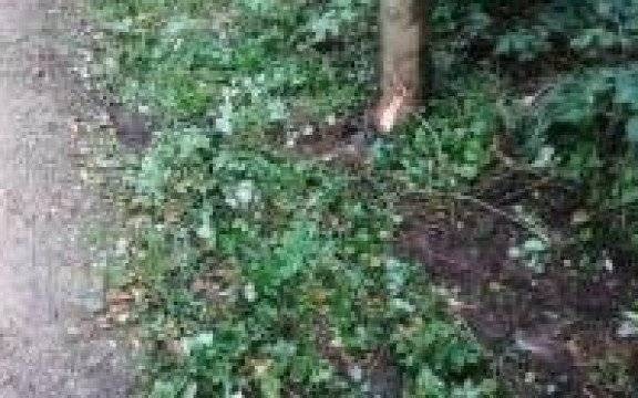 Malec. Wypadek na quadzie z alkoholem w tle