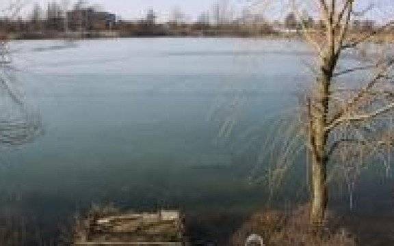 Oświęcim. Zareagowała widząc zagrożenie dla ludzkiego życia