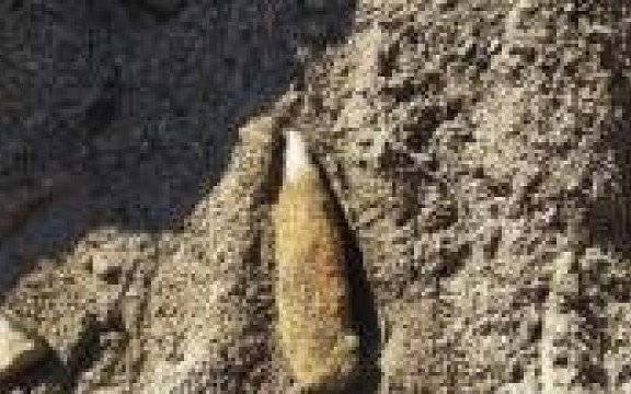 Chełmek. Policjanci zabezpieczali miejsce znalezienia niewypału