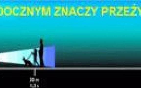 Oświęcim. List od oświęcimskiej drogówki do pieszych