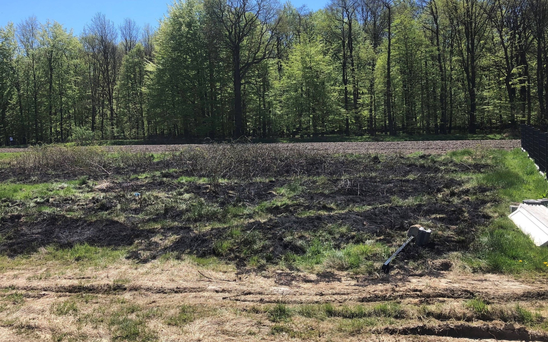 Gmina Oświęcim. Seniorka zapomniała o zakazie spalania odpadów zielonych. Ogień szybko się rozprzestrzenił na pobliską łąkę.