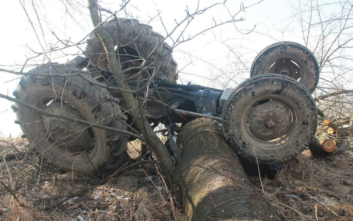 Głębowice. Śmierć podczas wycinki drzewa