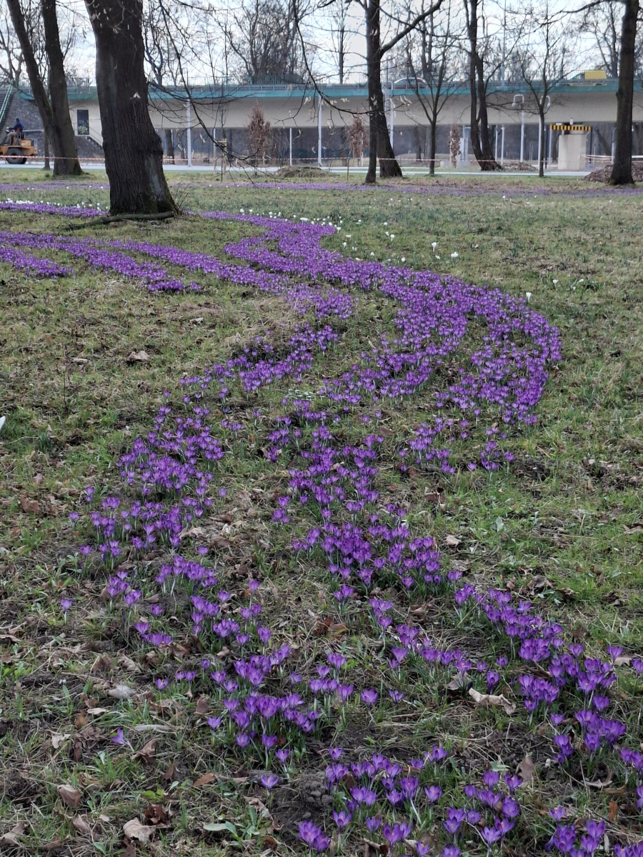 Oświęcim. Spacer, relaks i zabawa. Bulwary zaskoczą nowymi atrakcjami