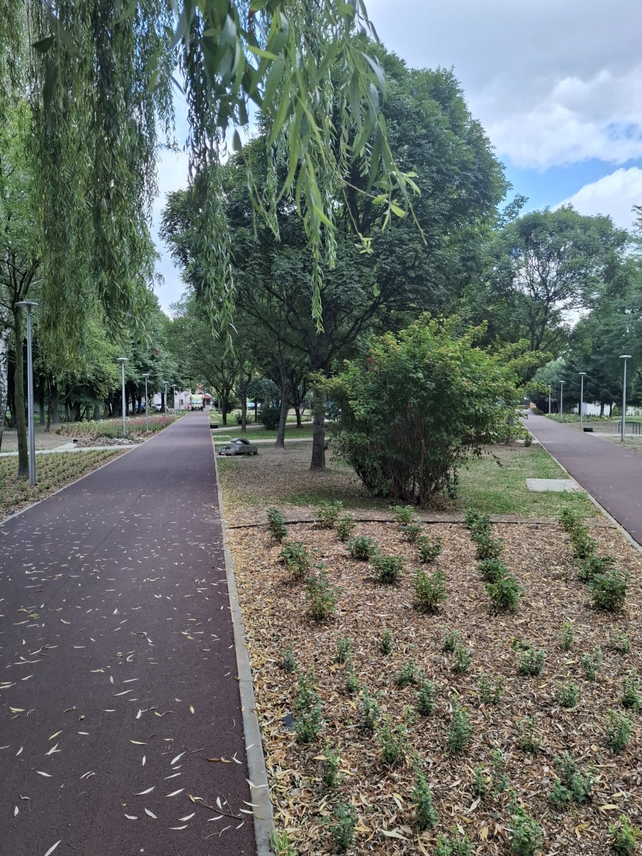 Oświęcim. Zielona przestrzeń bliżej mieszkańców